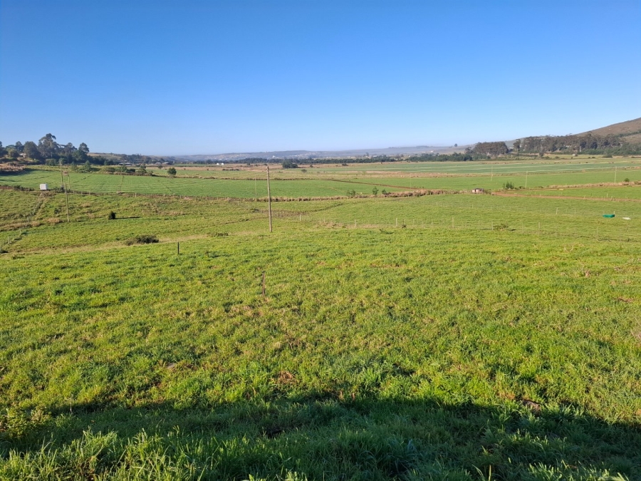 6 Bedroom Property for Sale in Riversdale Rural Western Cape